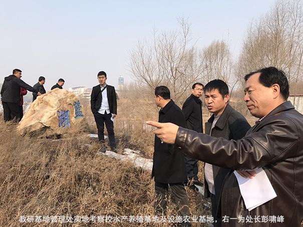 教研基地管理处实地考察校水产养殖基地及设施农业基地02