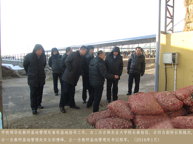 学校领导赴教研基地管理处畜牧基地指导工作2