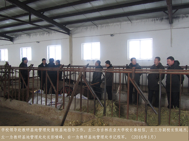 学校领导赴教研基地管理处畜牧基地指导工作3