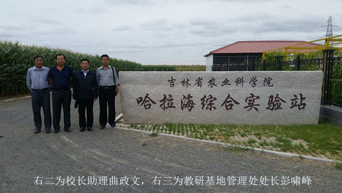 4270a812073ffdfb 18.jpg