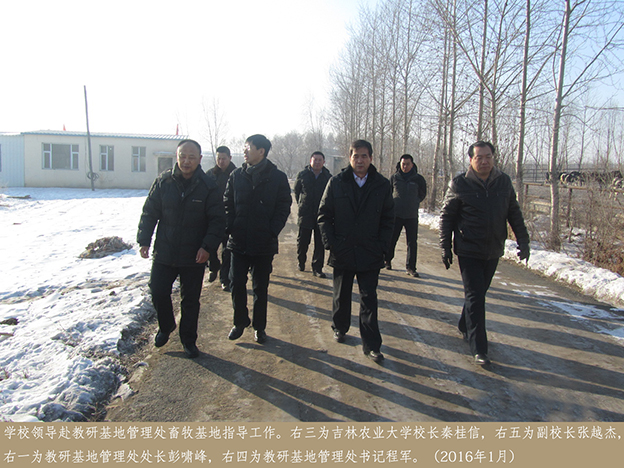 学校领导赴教研基地管理处畜牧基地指导工作1
