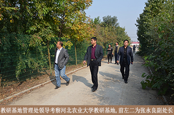 教研基地管理处领导考察河北农业大学教研基地12.jpg