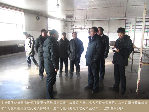 学校领导赴教研基地管理处畜牧基地指导工作4