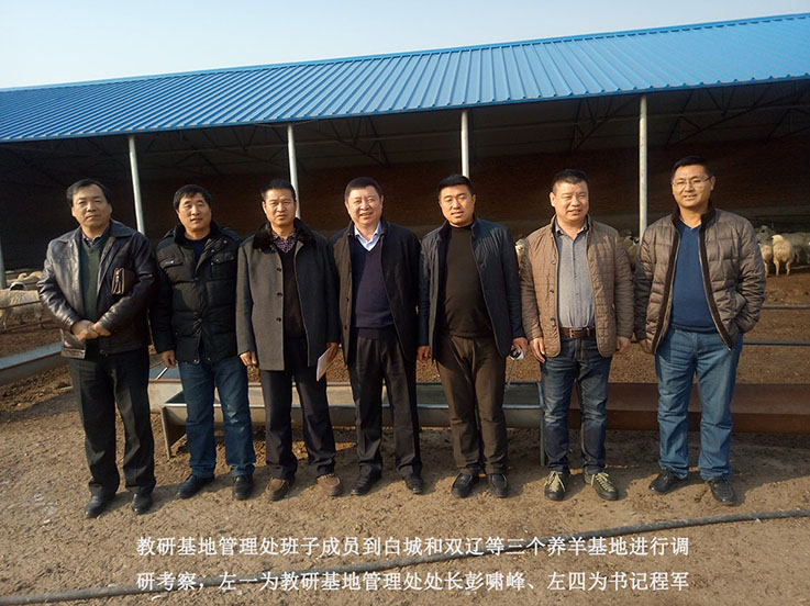 教研基地管理处赴白城、双辽养羊基地进行工作调研02