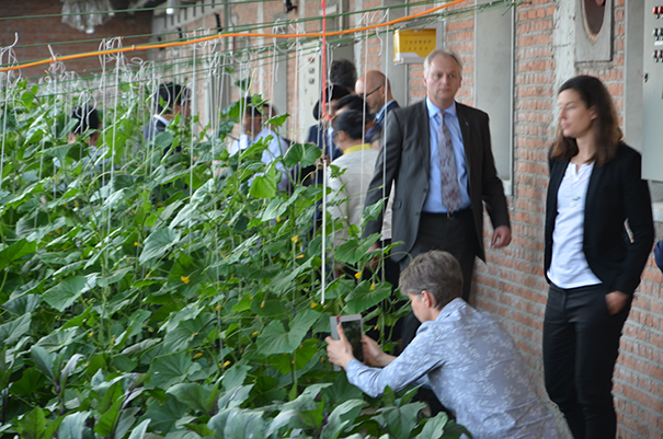 德国哥廷根大学一行参观访问设施农业基地03