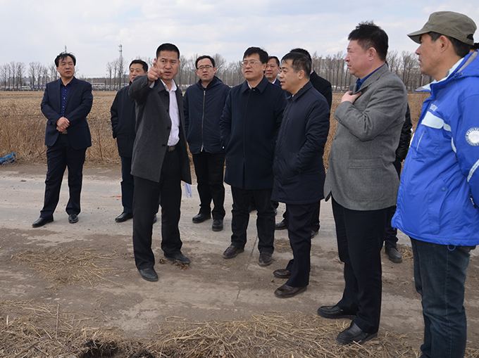 学校领导实地考察植物生产基地03