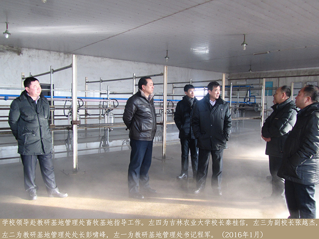 学校领导赴教研基地管理处畜牧基地指导工作5