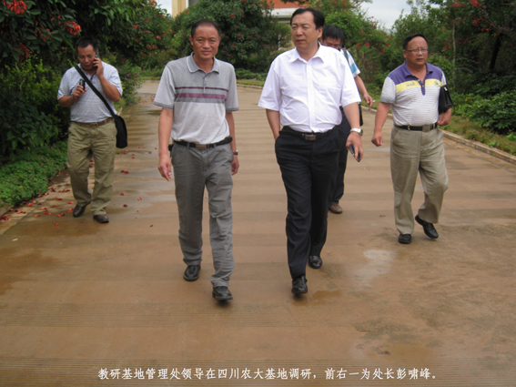 教研基地管理处领导在四川农大基地调研