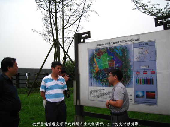 教研基地管理处领导赴四川农业大学调研