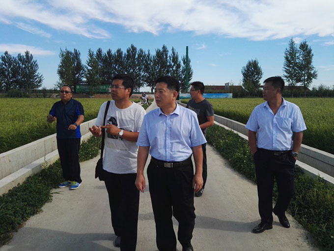 3ce486aa17a7a31 18.jpg