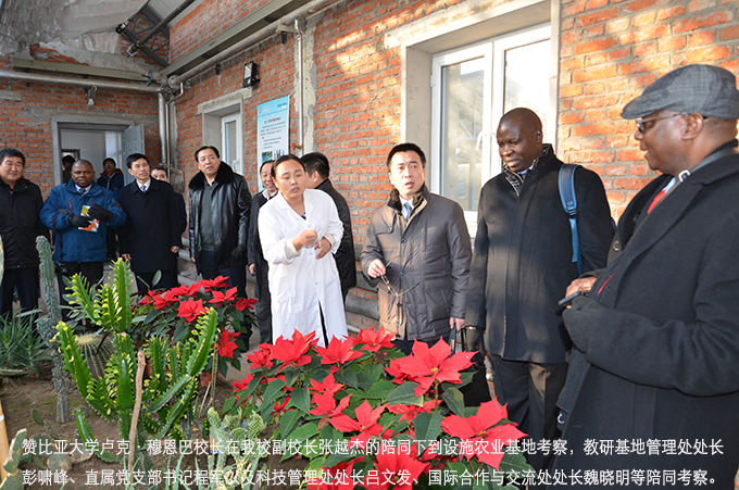 赞比亚大学卢克·穆恩巴考察访问设施农业基地02