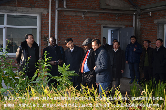 赞比亚大学卢克·穆恩巴考察访问设施农业基地01