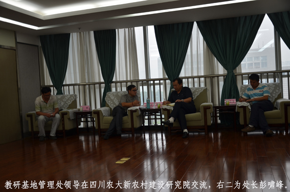 教研基地管理处领导在四川农大新农村建设研究院交流