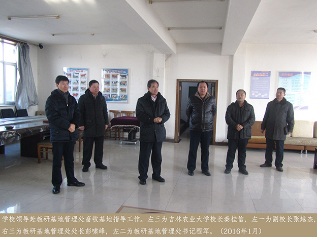 学校领导赴教研基地管理处畜牧基地指导工作6
