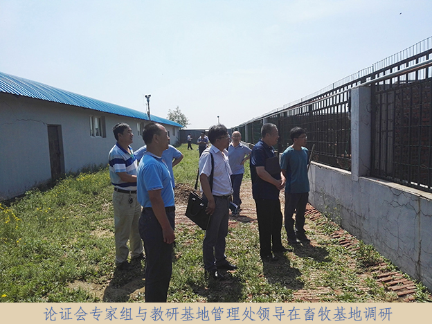 IMG_20160620_095739 22a.jpg