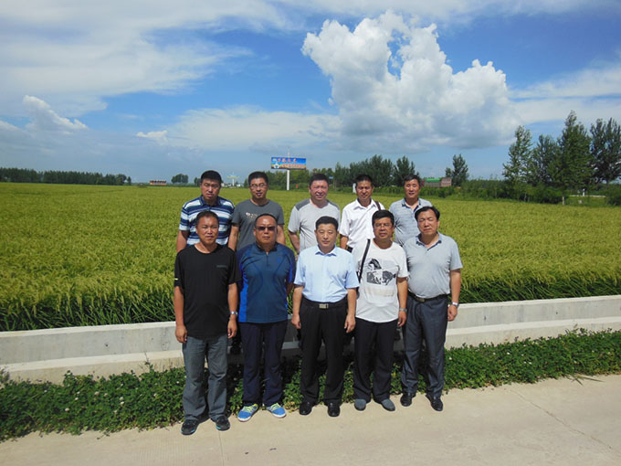 -487783e1e9540c5 22.jpg